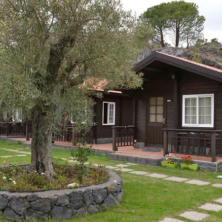 Etna Hut Bed and Breakfast Nicolosi Εξωτερικό φωτογραφία