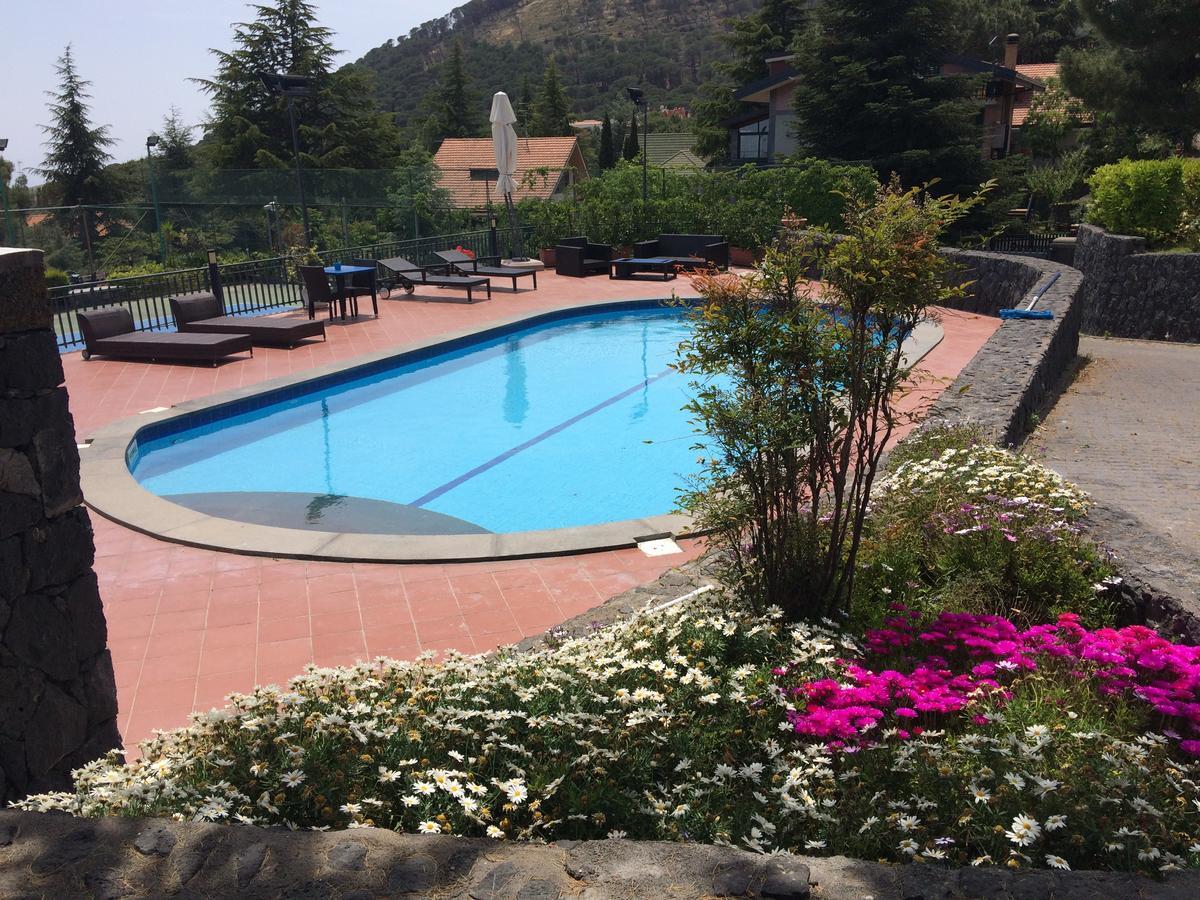 Etna Hut Bed and Breakfast Nicolosi Εξωτερικό φωτογραφία