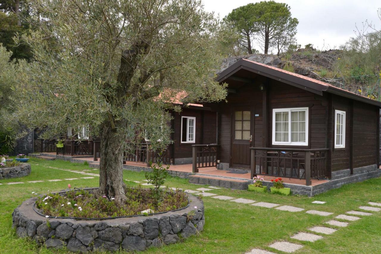 Etna Hut Bed and Breakfast Nicolosi Εξωτερικό φωτογραφία